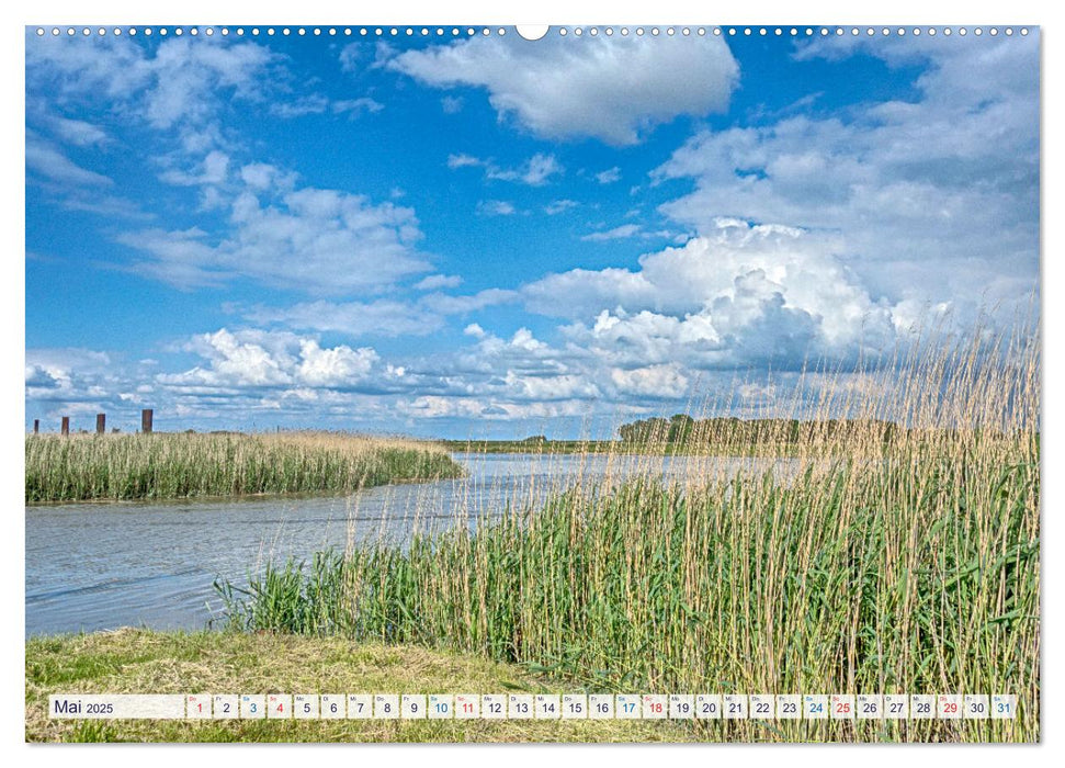 Cuxhavener Land (CALVENDO Premium Wandkalender 2025)