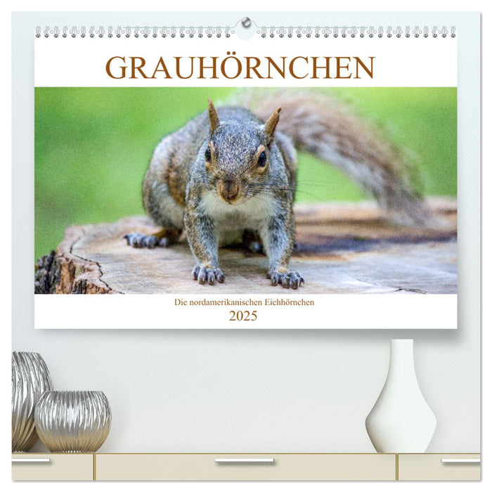 Grauhörnchen-Die nordamerikanischen Eichhörnchen (CALVENDO Premium Wandkalender 2025)