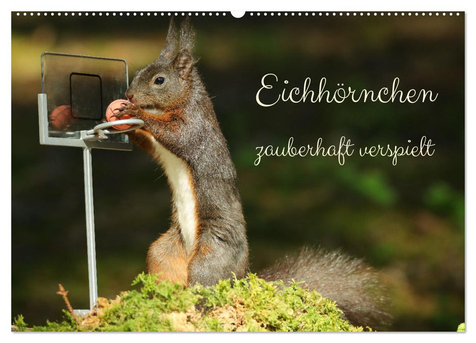 Eichhörnchen - zauberhaft verspielt (CALVENDO Wandkalender 2025)