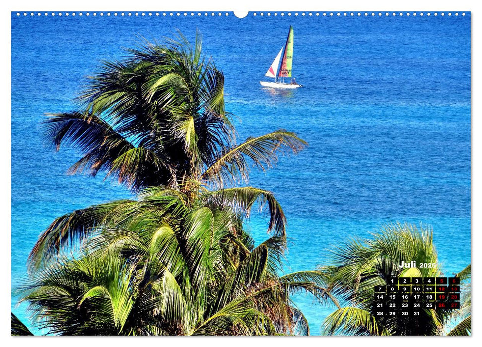 Katamarane an Traumstränden - Hobie Cats in Cuba (CALVENDO Premium Wandkalender 2025)