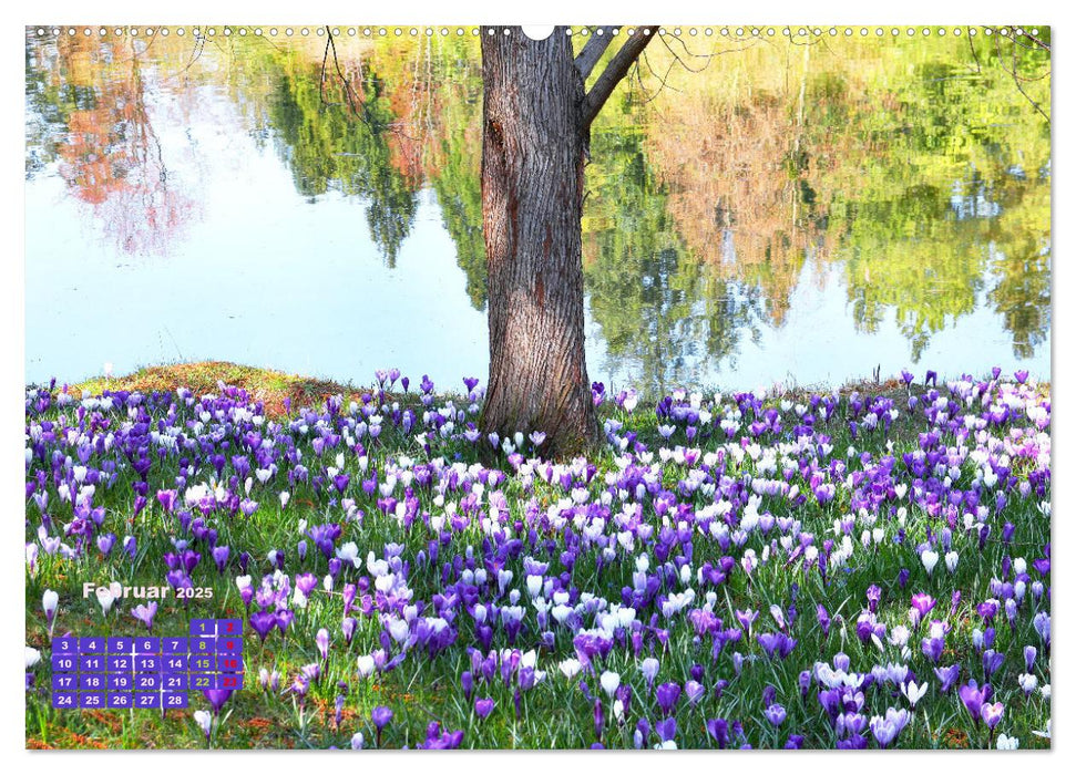 Es blüht im Frühling (CALVENDO Premium Wandkalender 2025)