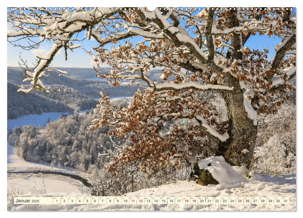 Impressionen aus dem Oberen Donautal (CALVENDO Wandkalender 2025)