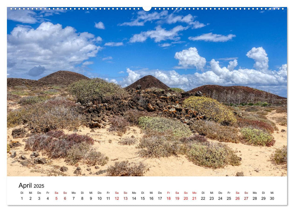 Isla de Lobos - Inseljuwel zwischen Fuerteventura und Lanzarote (CALVENDO Premium Wandkalender 2025)