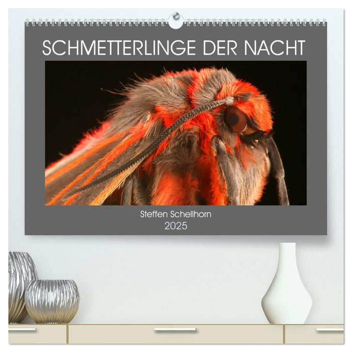 SCHMETTERLINGE DER NACHT (CALVENDO Premium Wandkalender 2025)