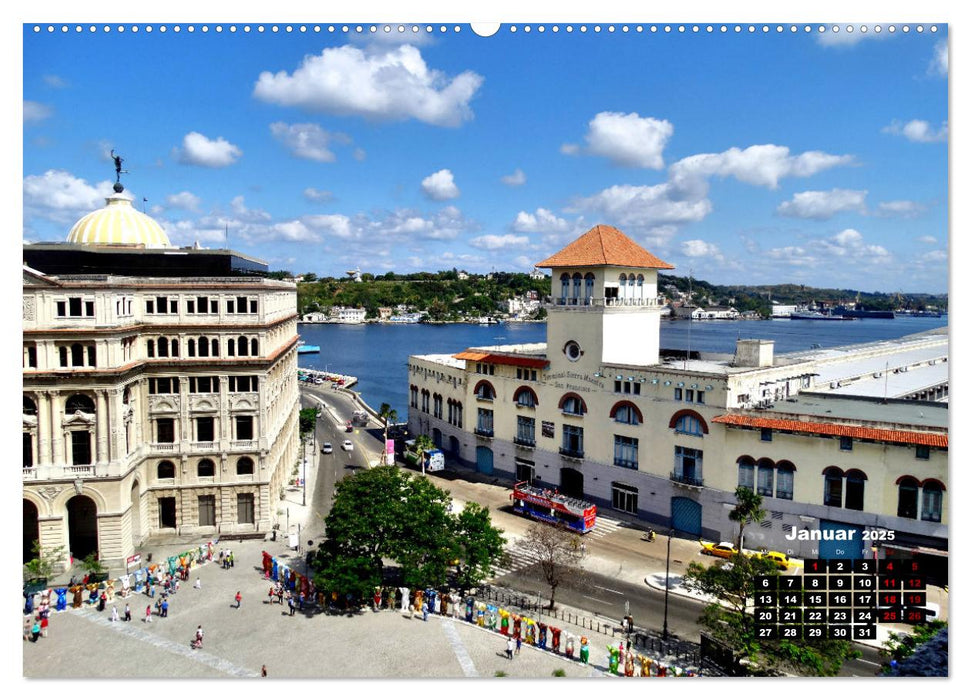 Buddy Bears in Cuba - Bären-Parade in Havanna (CALVENDO Premium Wandkalender 2025)