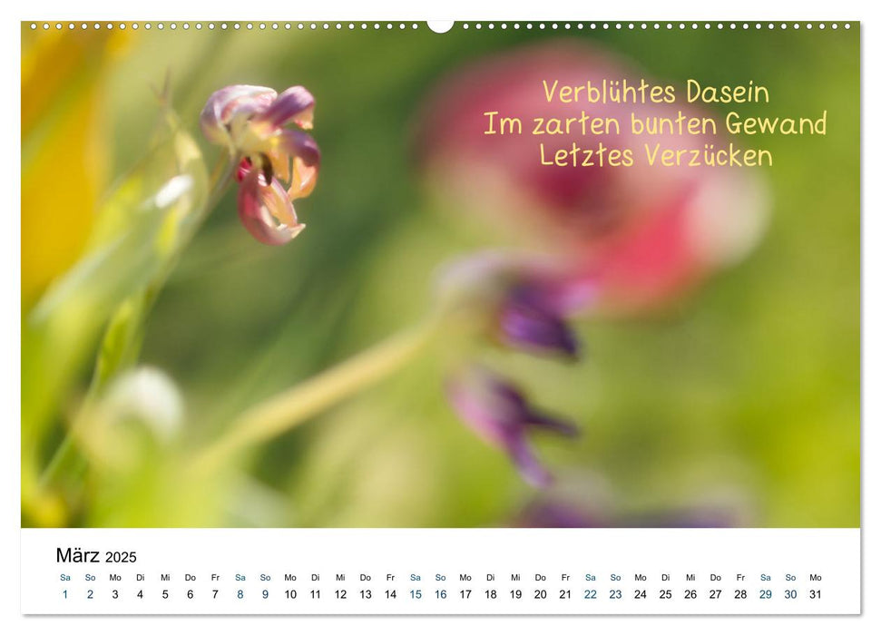 HAIKU, eine fotografische Interpretation (CALVENDO Premium Wandkalender 2025)