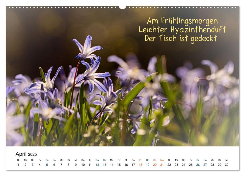 HAIKU, eine fotografische Interpretation (CALVENDO Premium Wandkalender 2025)