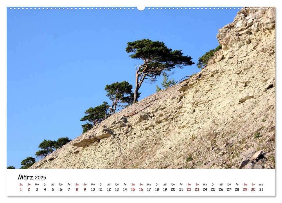 Gotland Impressionen (CALVENDO Premium Wandkalender 2025)