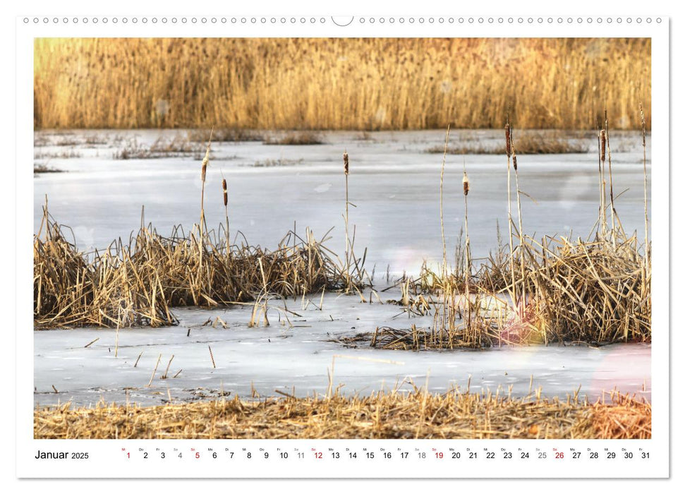 Mein Sehnsuchtsort, der See (CALVENDO Premium Wandkalender 2025)