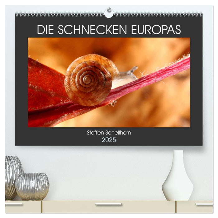 DIE SCHNECKEN EUROPAS (CALVENDO Premium Wandkalender 2025)