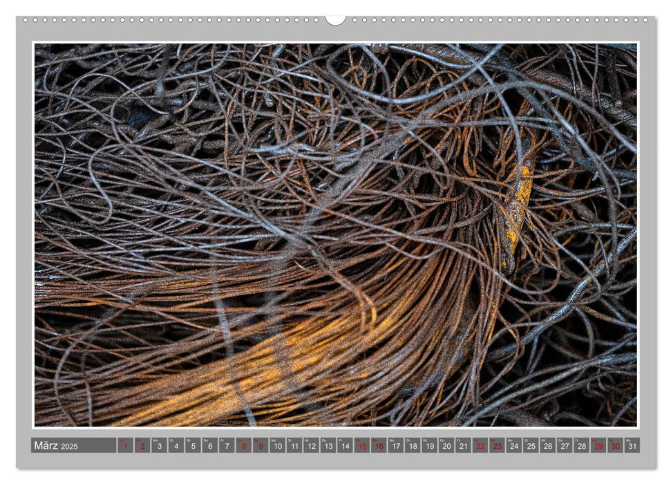 Faszination Schrott (CALVENDO Wandkalender 2025)