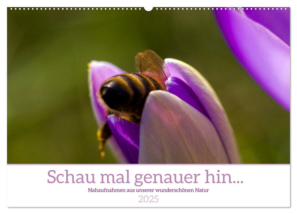 Schau mal genauer hin ... Detailfotografie aus unserer wunderschönen Natur (CALVENDO Wandkalender 2025)