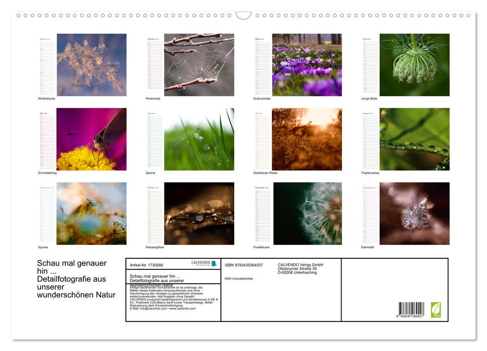 Schau mal genauer hin ... Detailfotografie aus unserer wunderschönen Natur (CALVENDO Wandkalender 2025)