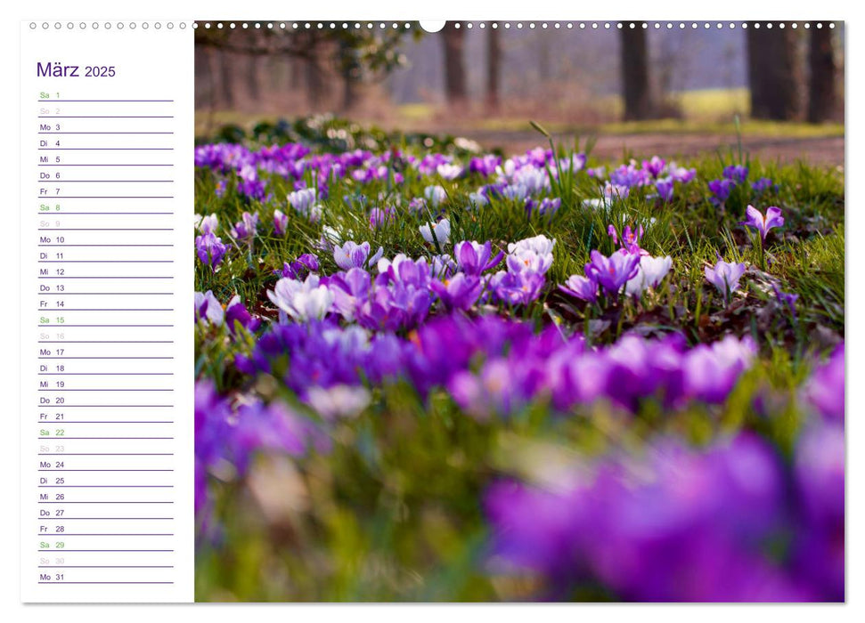 Schau mal genauer hin ... Detailfotografie aus unserer wunderschönen Natur (CALVENDO Wandkalender 2025)