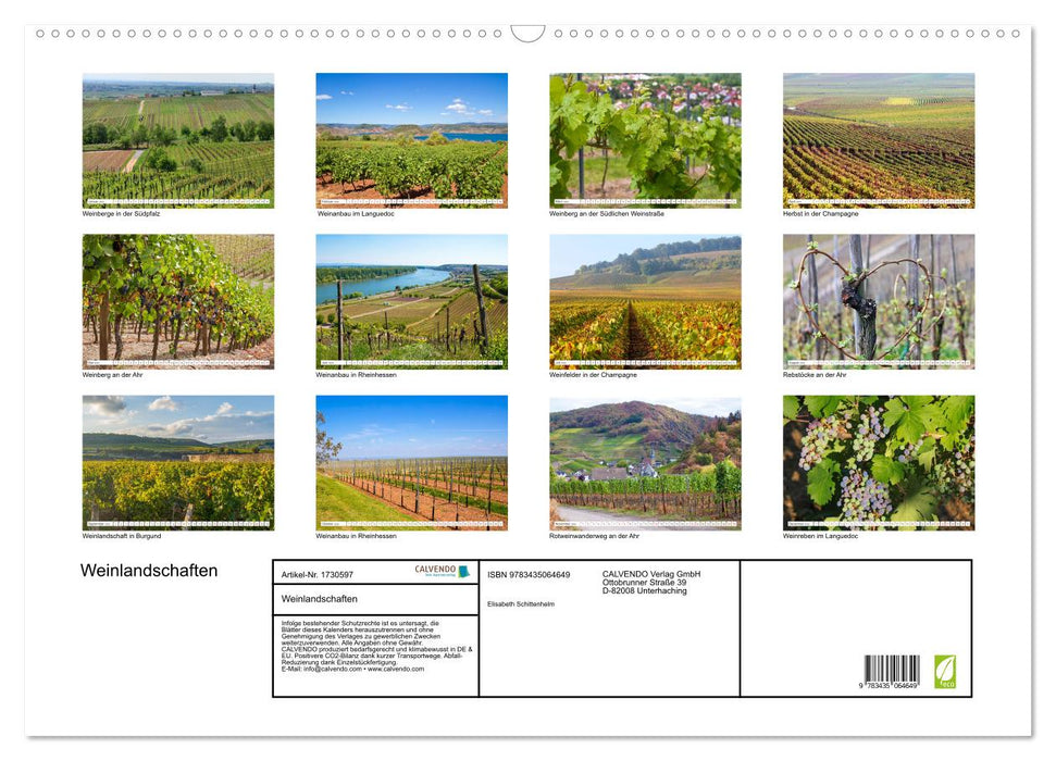 Weinlandschaften (CALVENDO Wandkalender 2025)