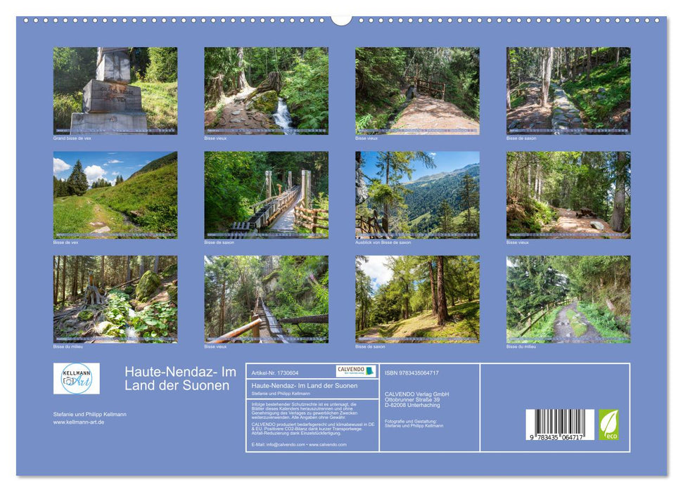 Haute-Nendaz- Im Land der Suonen (CALVENDO Premium Wandkalender 2025)