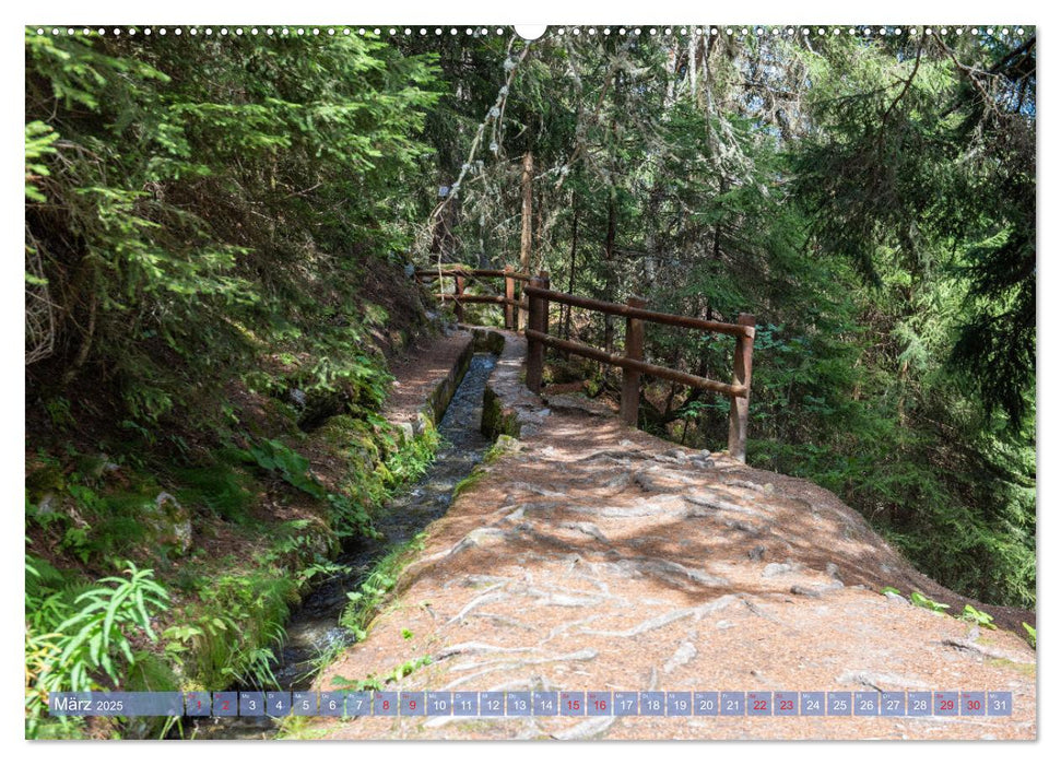 Haute-Nendaz- Im Land der Suonen (CALVENDO Premium Wandkalender 2025)