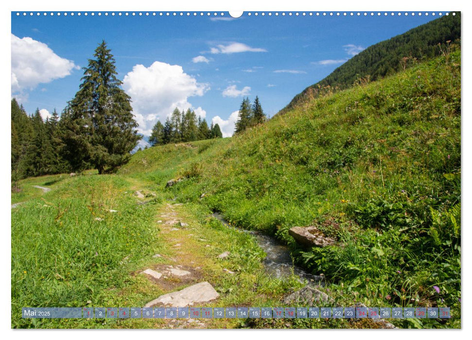 Haute-Nendaz- Im Land der Suonen (CALVENDO Premium Wandkalender 2025)