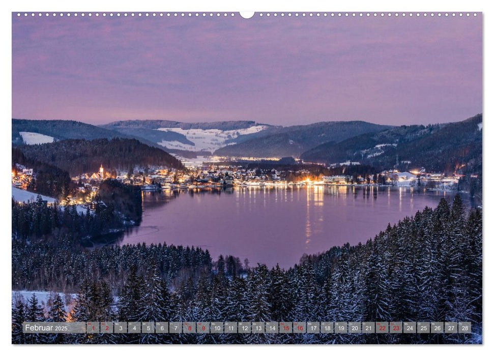 Ein Jahr im Schwarzwald (CALVENDO Premium Wandkalender 2025)