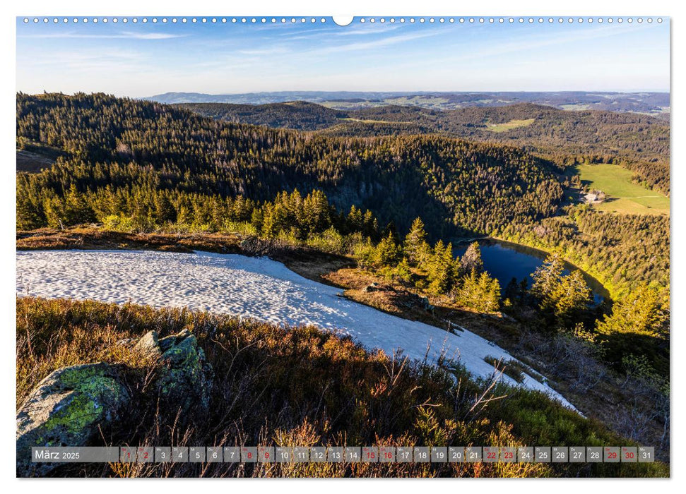 Ein Jahr im Schwarzwald (CALVENDO Premium Wandkalender 2025)