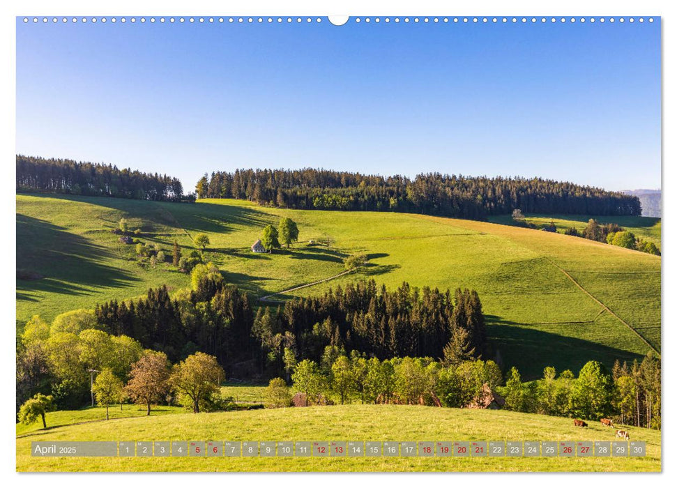 Ein Jahr im Schwarzwald (CALVENDO Premium Wandkalender 2025)