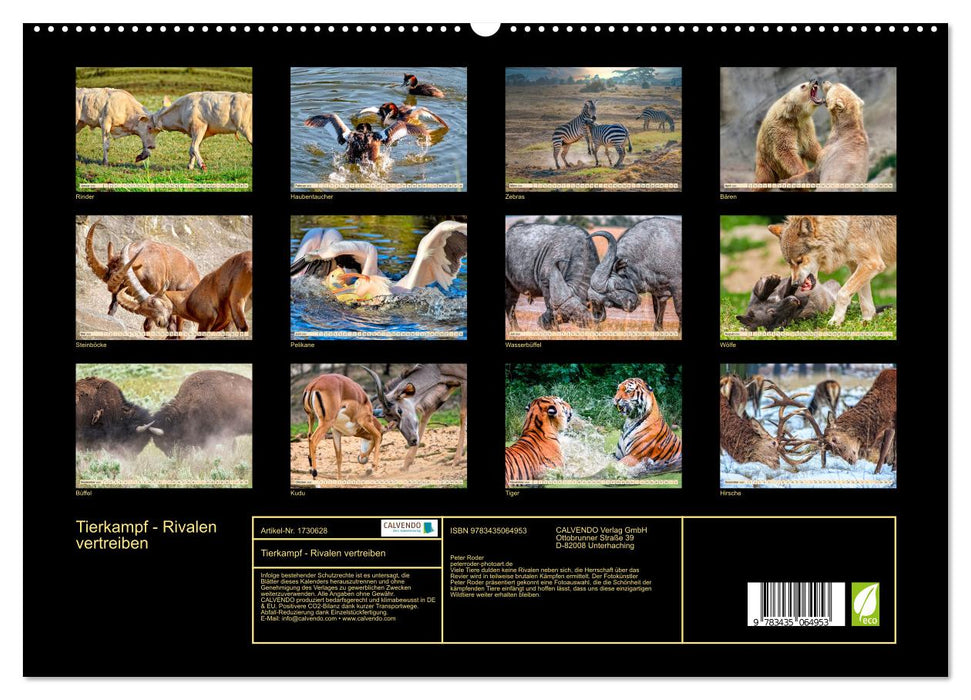 Tierkampf - Rivalen vertreiben (CALVENDO Premium Wandkalender 2025)