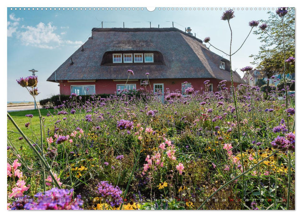 Kühlungsborn - Die Sonnenseite der Ostsee (CALVENDO Premium Wandkalender 2025)