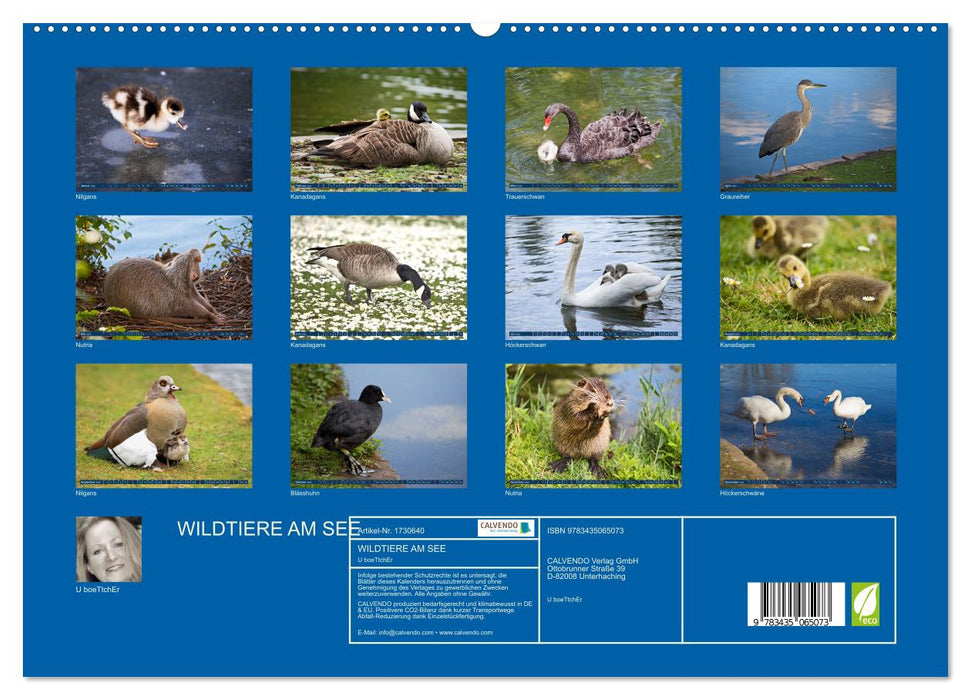 WILDTIERE AM SEE (CALVENDO Premium Wandkalender 2025)