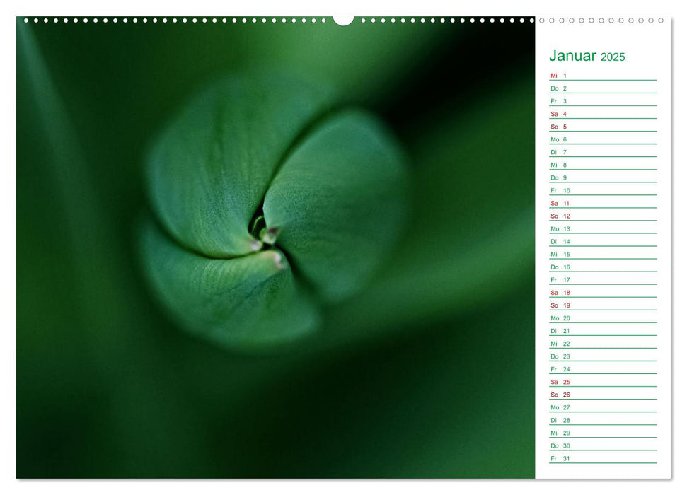 Grün Makrofotografien aus der grünen Welt der Pflanzen als Monatsplaner (CALVENDO Premium Wandkalender 2025)