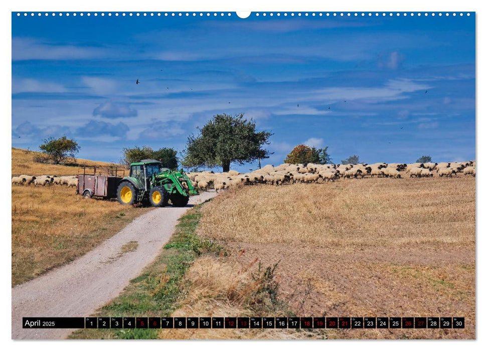 Das Mönchgut und Gager (CALVENDO Wandkalender 2025)