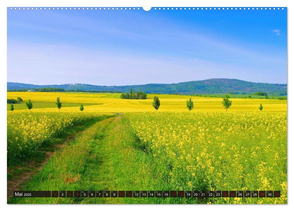 Zittauer Gebirge - Deutschlands kleinstes Mittelgebirge (CALVENDO Premium Wandkalender 2025)