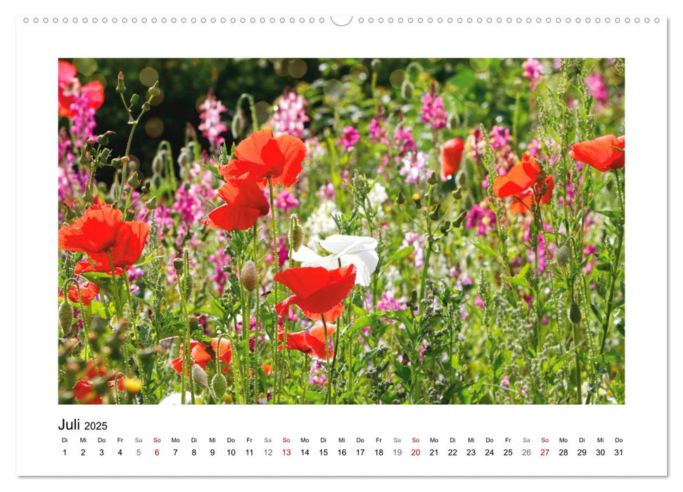 Mein Sehnsuchtsort, die Blumenwiese (CALVENDO Premium Wandkalender 2025)