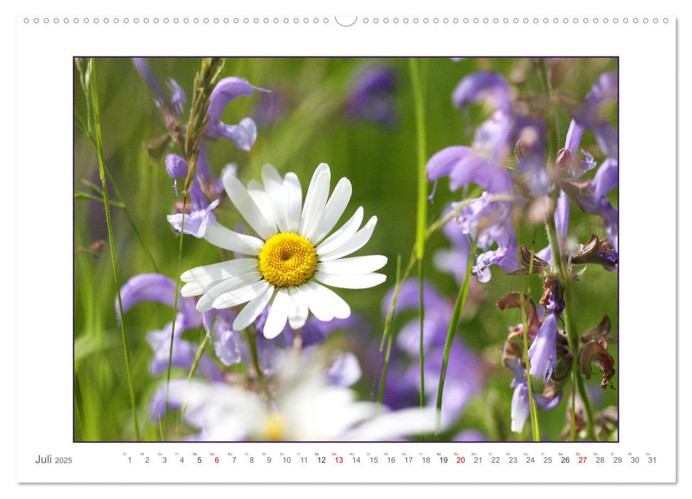 Sanfte Natur (CALVENDO Premium Wandkalender 2025)