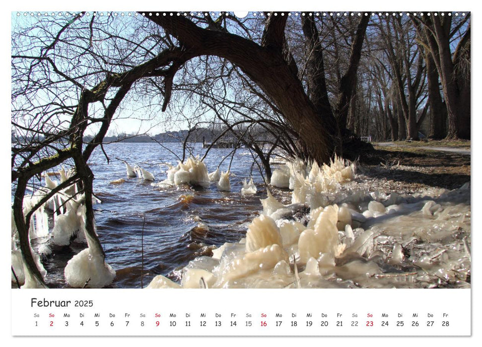 Zauberhaftes Ammerland (CALVENDO Premium Wandkalender 2025)