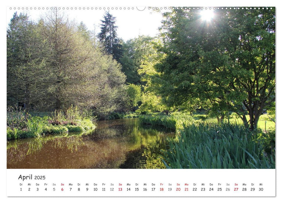 Zauberhaftes Ammerland (CALVENDO Premium Wandkalender 2025)