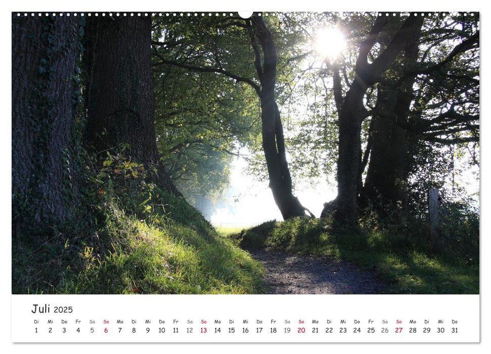 Zauberhaftes Ammerland (CALVENDO Premium Wandkalender 2025)