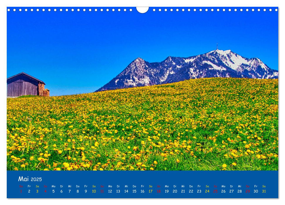 Allgäu Liebe (CALVENDO Wandkalender 2025)