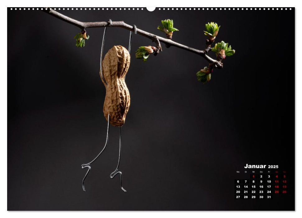 Erdnussmännchen Geschichten. (CALVENDO Premium Wandkalender 2025)