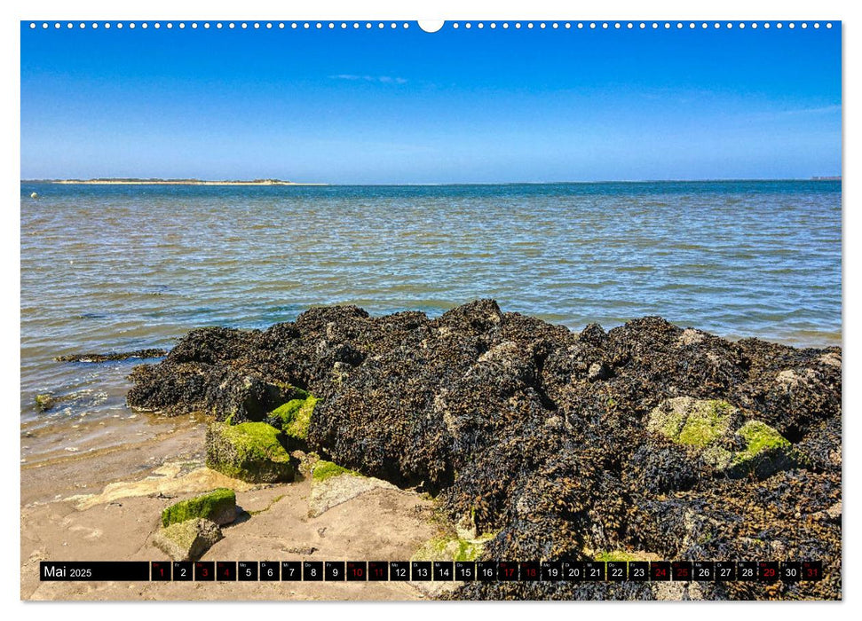 Föhr... liebt in eine Insel (CALVENDO Wandkalender 2025)