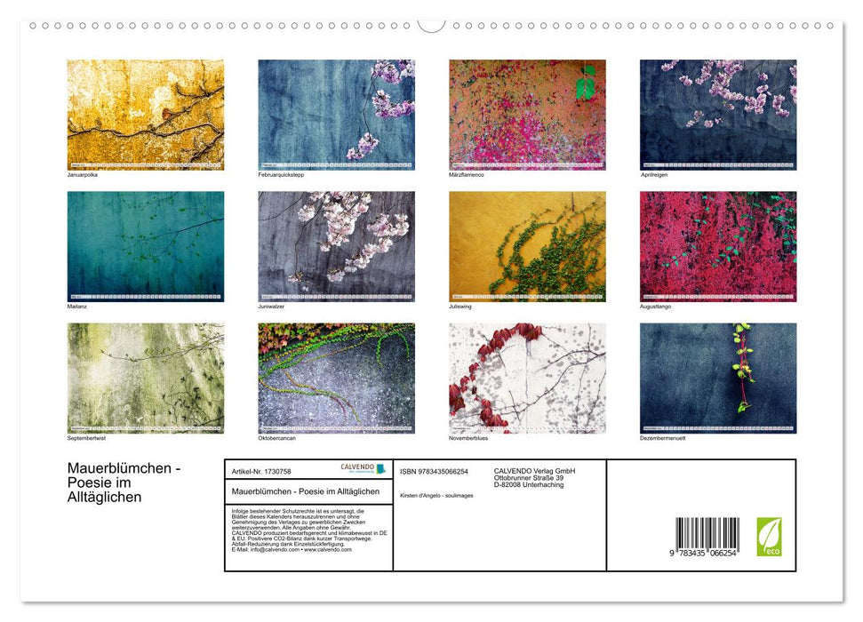 Mauerblümchen - Poesie im Alltäglichen (CALVENDO Wandkalender 2025)