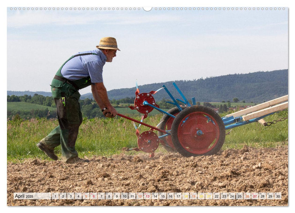 Kartoffelanbau ohne Traktor (CALVENDO Premium Wandkalender 2025)