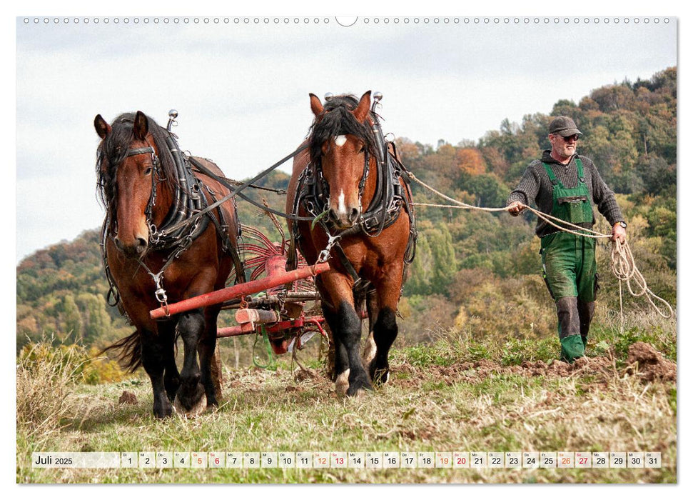 Kartoffelanbau ohne Traktor (CALVENDO Premium Wandkalender 2025)