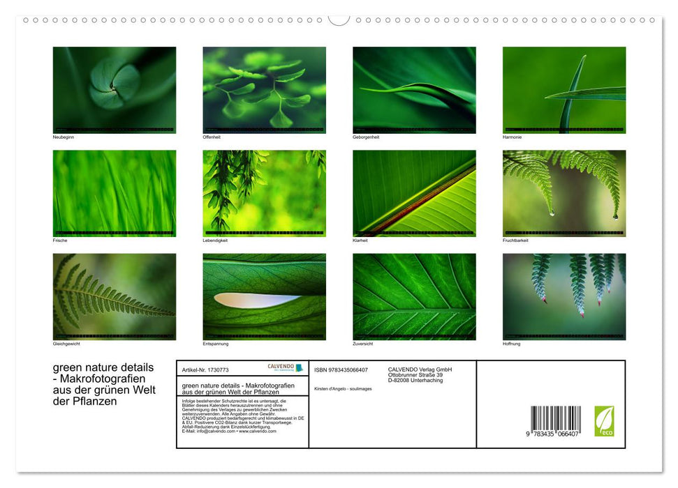 green nature details - Makrofotografien aus der grünen Welt der Pflanzen (CALVENDO Premium Wandkalender 2025)