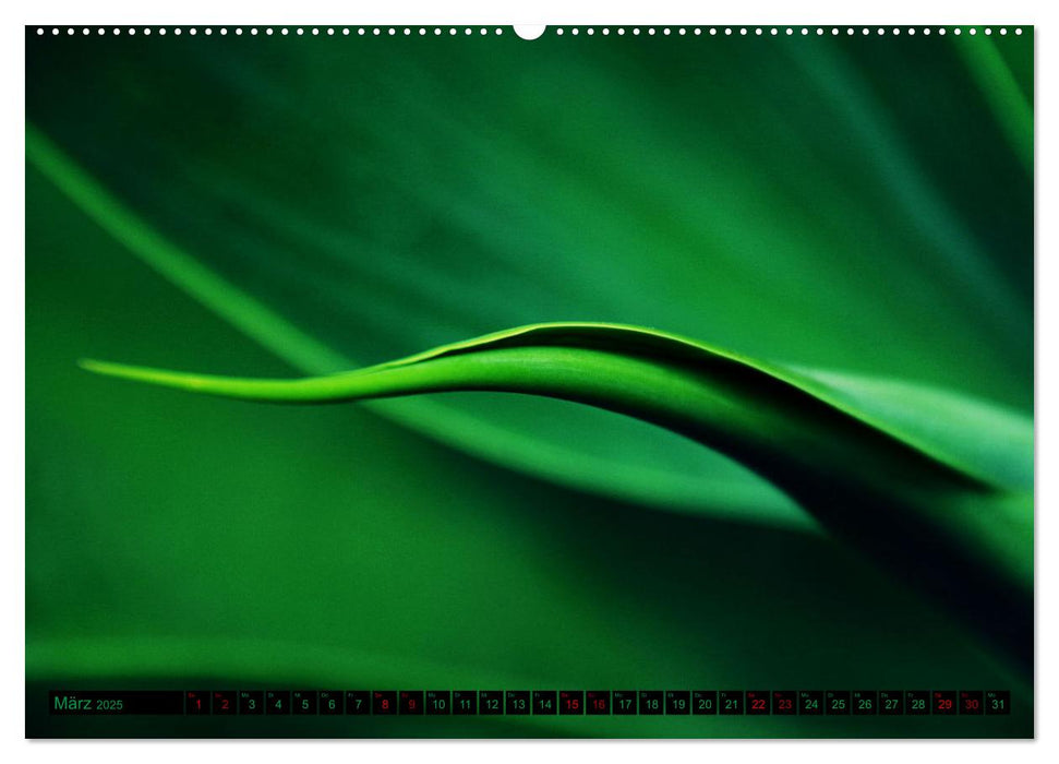 green nature details - Makrofotografien aus der grünen Welt der Pflanzen (CALVENDO Premium Wandkalender 2025)