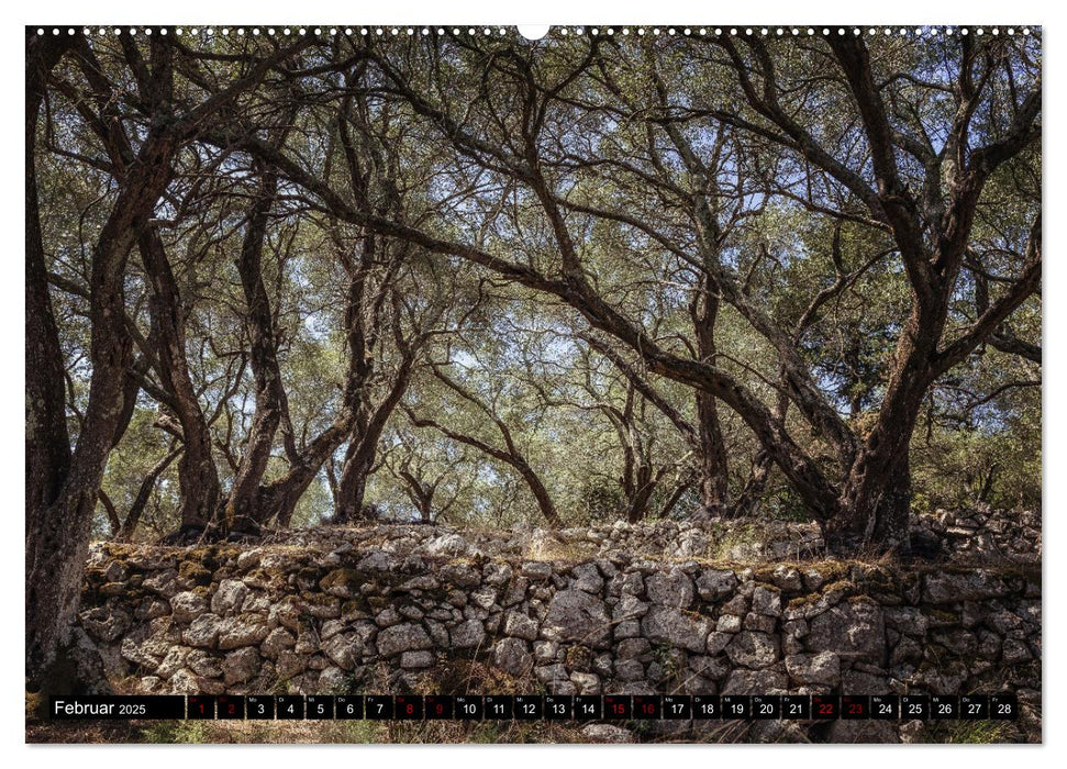 Olivenbäume auf Korfu (CALVENDO Premium Wandkalender 2025)