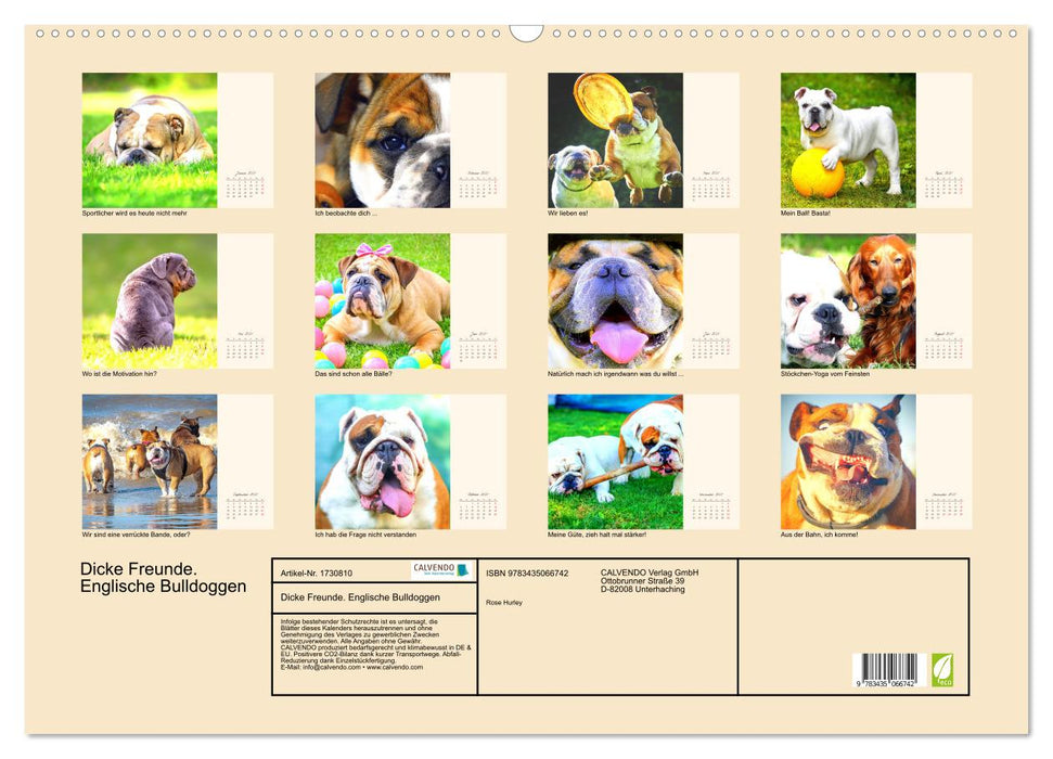 Dicke Freunde. Englische Bulldoggen (CALVENDO Wandkalender 2025)