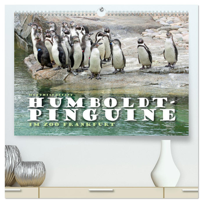 HUMBOLDTPINGUINE (CALVENDO Premium Wandkalender 2025)