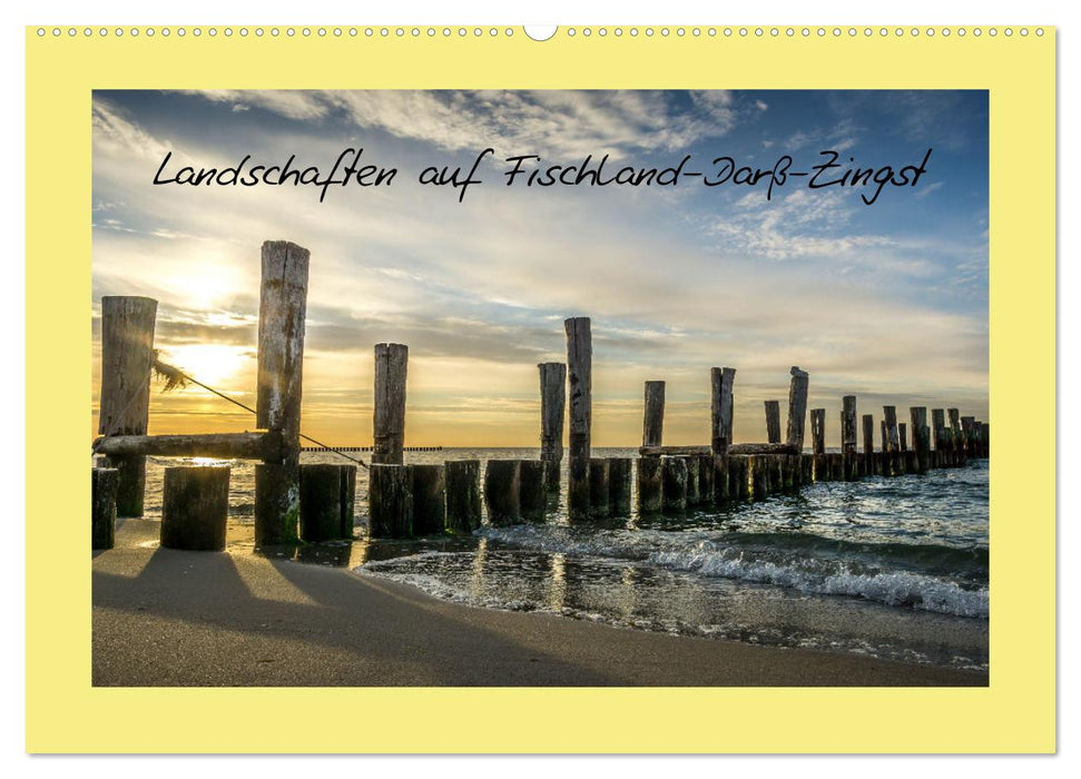 Landschaften auf Fischland-Darß-Zingst (CALVENDO Wandkalender 2025)