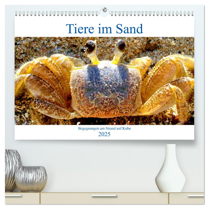 Tiere im Sand - Begegnungen am Strand auf Kuba (CALVENDO Premium Wandkalender 2025)