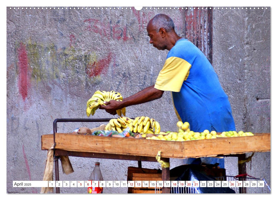 Alles Banane - Fliegende Händler und schwimmende Bananen auf Kuba (CALVENDO Premium Wandkalender 2025)